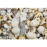 Фото Декор Nizza Мушли Б 30x45