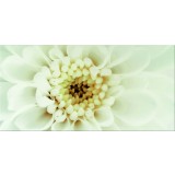 Фото Декор DIAGO INSERTO FLOWER B 29,7х60