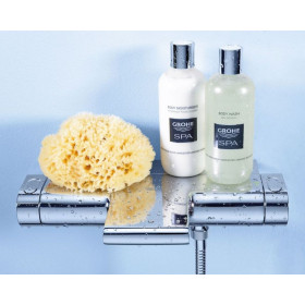 Фото 3 Термостат для ванны Grohe Grohtherm 2000 NEW с полочкой (34464001)